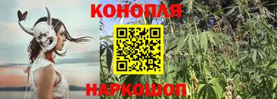 ECSTASY Нальчик