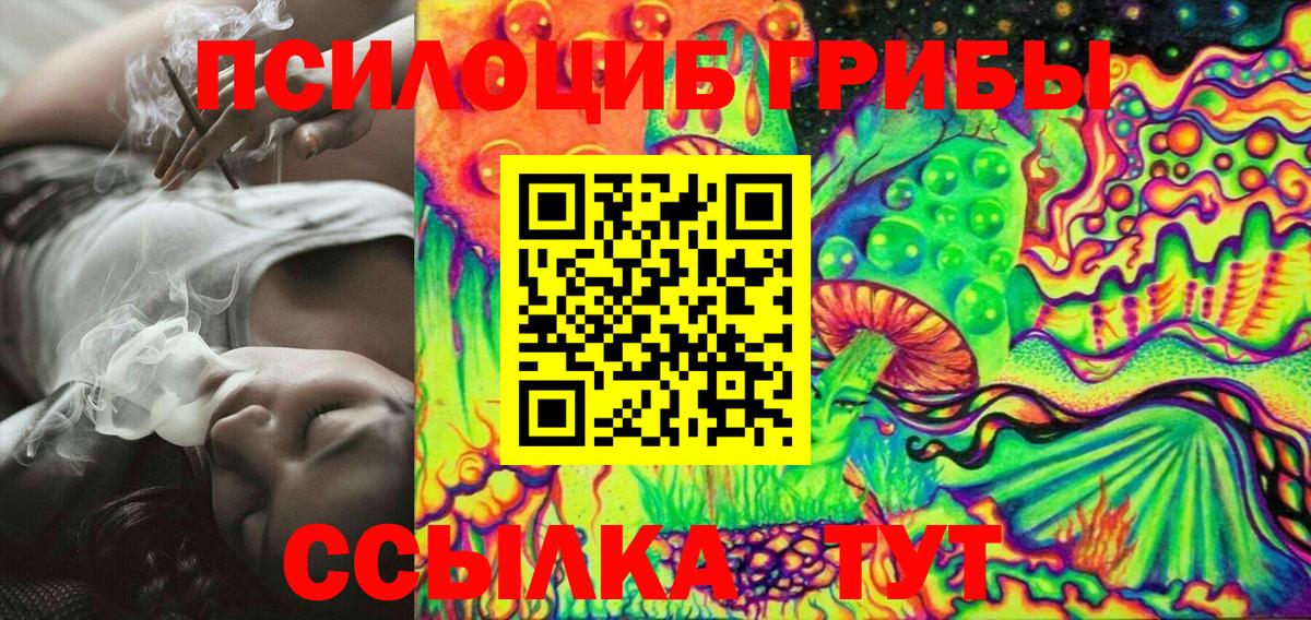 Тулун  Псилоцибиновые грибы MAGIC MUSHROOMS  Псилоцибиновые грибы Cubensis  Вход с VPN 