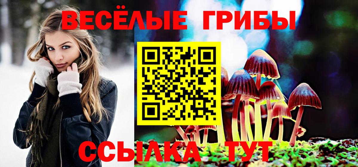 Галлюциногенные грибы ЛСД Тулун